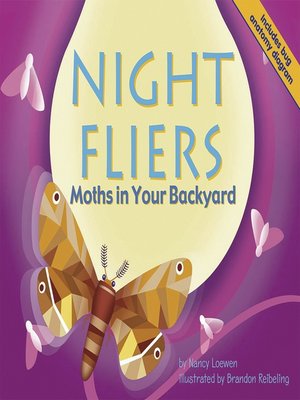 cover image of Night Fliers